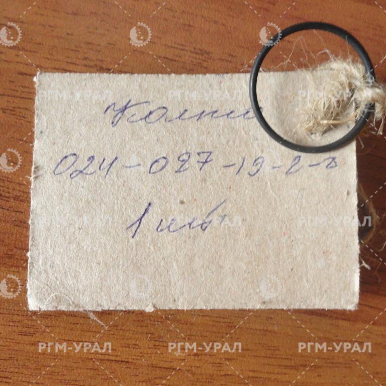  Кольцо 024-027-19-2-2 ГОСТ 9833-73 для СБШ-250