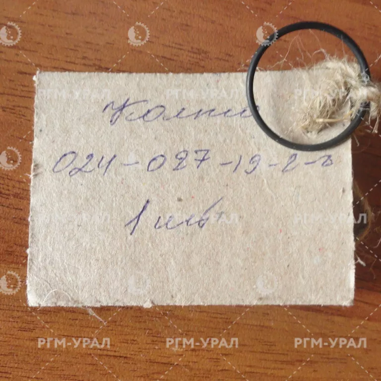  Кольцо 024-027-19-2-2 ГОСТ 9833-73 для СБШ-250